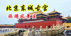 大鸡巴操大逼现场视频中国北京-东城古宫旅游风景区